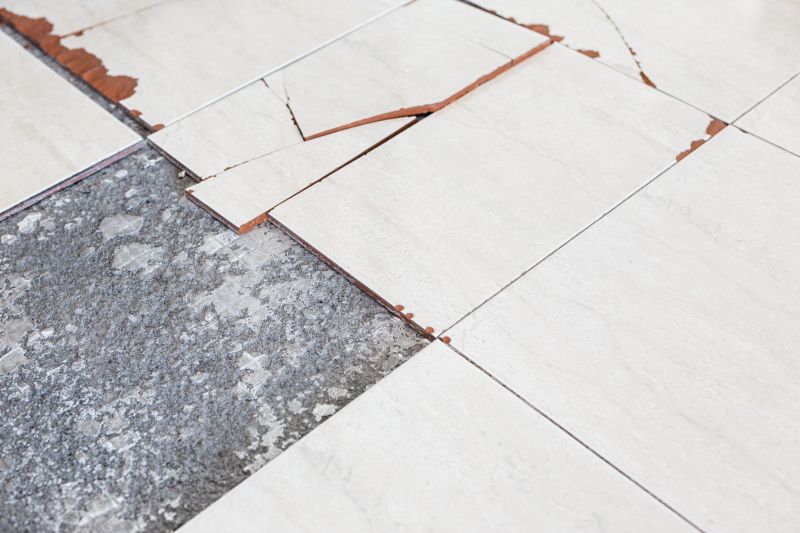 Tile Maintenance and Repair